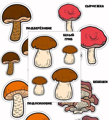Съедобные грибы - картинки для вырезания. Серия 9 листов картинки
