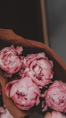 обои | цветы | пионы | wallpaper | flowers | peonies | Peony wallpaper,  Flower backgrounds, Flower background wallpaper картинки