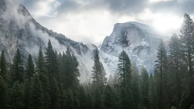 Обои Обои Эпл, 5k, 4k, 8k, лес, горы, снег, Yosemite, 5k, 4k wallpaper, 8k,  forest, OSX, apple, mountains, Природа #181 картинки