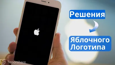 Айфон не включается, горит яблоко. Рассказываем, что делать |  AppleInsider.ru картинки