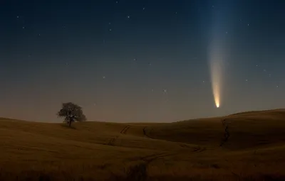 Обои поле, небо, звезды, дерево, комета, sky, field, stars, tree, comet,  Paolo Lazzarotti картинки на рабочий стол, раздел пейзажи - скачать картинки