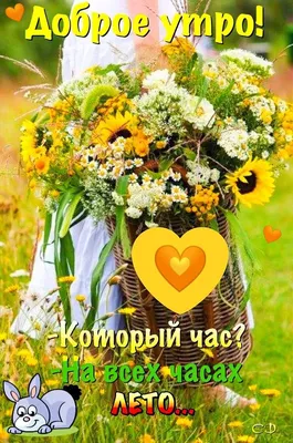 Доброе летнее утро картинка #387779 - ЛЕТНЕЕ 🧡🌻🍃🧡🌿🌻🧡 УТРО ДОБРОЕ! |  Милые открытки, Красные маки, Доброе утро - скачать картинки