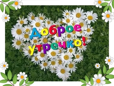 Летнее Утро доброе! 🍃🌼🌿 | Доброе утро, Открытки, Картинки картинки