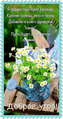 Летнее 🍃🌼🌞🌼🌿 Утро доброе! | Доброе утро, Открытки, Утренние цитаты картинки