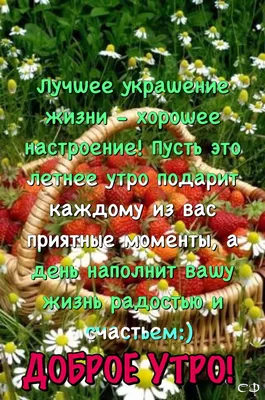 Летнее утро | Доброе утро, Вдохновляющие цитаты, Утренние сообщения картинки