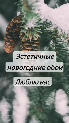 Эстетичные новогодние обои Люблю вас | Обои, Открытки, Детские поделки картинки