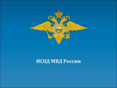 СК прекратил уголовное дело о злоупотреблениях в интеллектуальной системе  МВД картинки