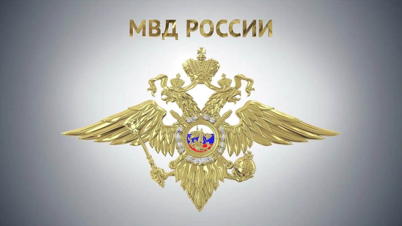 Vdl hf. Служу закону. Служа закону Служу народу.