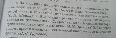 Презентация к уроку русского языка по теме \ картинки