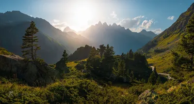 Фото с тегом «можжевельник» — Russian Traveler картинки