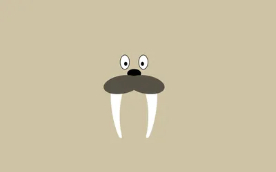 Картинка морж, бивни, walrus, 1920x1080, nose, eyes, стиль, tusks, style,  minimalism, глаза, минимализм, нос 1680x1050 скачать обои на рабочий стол  бесплатно, фото 95840 картинки