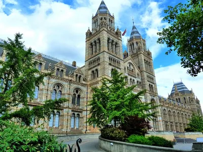 Фотография Музей Великобритания London - Natural History Museum картинки