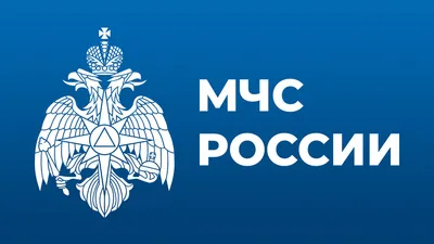 В МЧС России создали автомобиль для защиты сел от лесных пожаров картинки