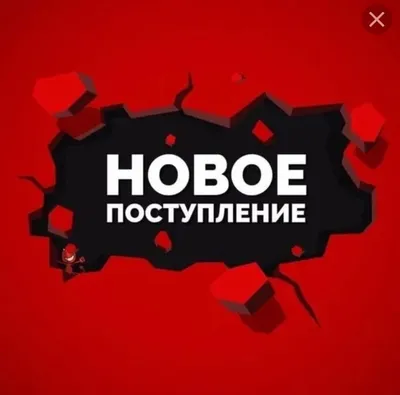 Новое поступление товара 17.02.2023 • Новости • Блог • Электроинструменты,  инструменты для электрика, садовый и хозяйственный инвентарь в Гродно.  Оптовые цены картинки