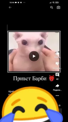 Нубик (@cephalopod_skinny) в Yappy | видео от 15.09.2022 картинки