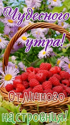 Пин от пользователя daria на доске четверг картинки | Простые цветочные  композиции, Доброе утро, Открытки картинки