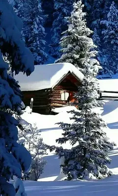 Winter Weekend Cabins Made Just for Two | Пейзажи, Живописные пейзажи,  Зимние сцены картинки