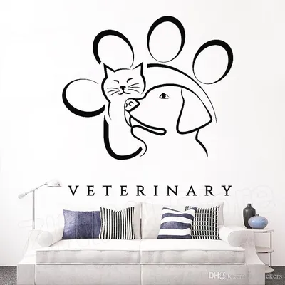 Ветеринария животных Pet Наклейка виниловая наклейки Mural Dog Cat Pattern  Window Переводные картинки Плакат Съемный обои картинки