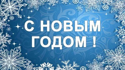 Поздравление с Новым годом и Рождеством — Управление ветеринарии Ростовской  области картинки