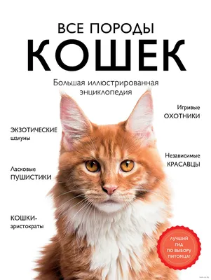 Все породы кошек. Большая иллюстрированная энциклопедия» Любовь Романова,  Алина Ярощук - купить книгу «Все породы кошек. Большая иллюстрированная  энциклопедия» в Минске — Издательство Эксмо на OZ.by картинки