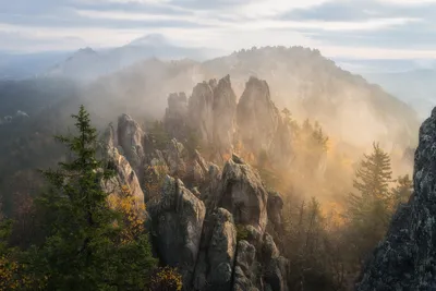 Последний день осени. На утро выпал снег — Фото №1376576 — Russian Traveler картинки