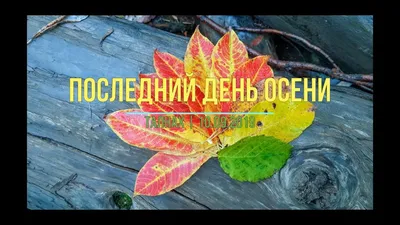 Последний День Осени | 10.09.2019 | Таймыр, Норильск, Талнах - YouTube картинки