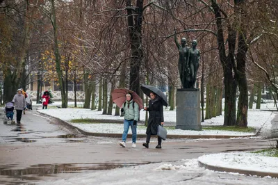 Петербург проведёт последний день осени под небольшим снегом картинки