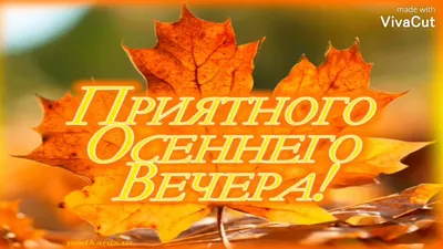 Самого Доброго Вечера, Друзья! Чудесная Песня-Пожелание Доброго Вечера И  Спокойной Ночи! Открытка! - YouTube картинки