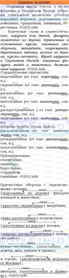 Номер №135 - ГДЗ по Русскому языку 7 класс: Ладыженская Т.А. картинки