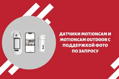 Датчики MotionCam и MotionCam Outdoor с поддержкой фото по запросу картинки