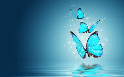 Картинки по запросу заставки на рабочий стол | Butterfly wallpaper,  Butterfly wallpaper backgrounds, Wallpaper backgrounds картинки