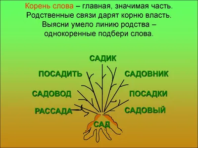 Однокоренные Слова В Картинках – Telegraph картинки