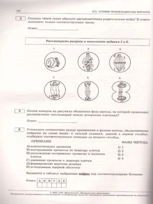 ЕГЭ-2023. Биология. 10 вариантов Национальное Образование 40021774 купить в  интернет-магазине Wildberries картинки