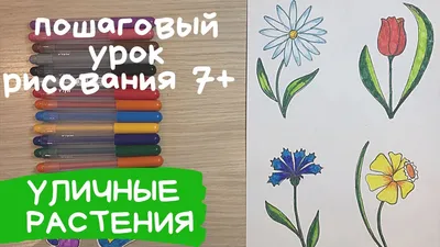 Разные цветы рисунок карандашом. Рисунки цветов для срисовки. Уличные  растения. Клумба с цветами - YouTube картинки