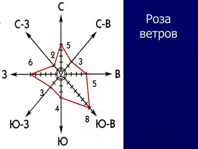 Картинки роза ветров (43 фото) » Юмор, позитив и много смешных картинок картинки