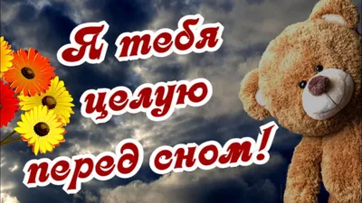 Перед сном тебя целую! Для моей Обожульки! Доброй ночи! - YouTube в 2023 г  | Ночь, Открытки, Романтические цитаты картинки