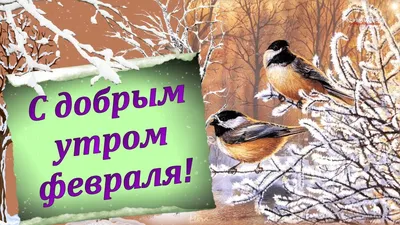 С ДОБРЫМ УТРОМ ФЕВРАЛЯ! - YouTube картинки