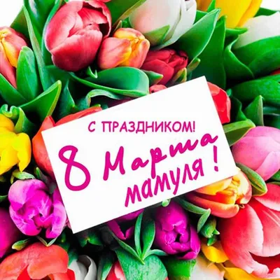 Открытка маме на 8 марта с тюльпанами (скачать бесплатно) картинки