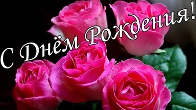 🌷🌼С Днём Рождения 11 Апреля🌸🌹 Красивое Поздравление С Днём  Рождения!🌹🌹🌹 - YouTube картинки