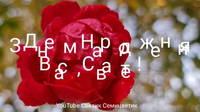 Привітання з днем народження свату у віршах на українській мові картинки