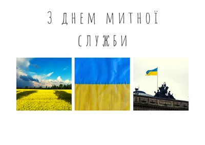 День таможенной службы Украины 2022: поздравления в прозе и стихах, картинки  на украинском — Украина — tsn.ua картинки