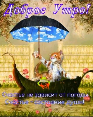 ДОБРОЕ 🌈🌂😸 ☔💐 УТРО! 💐 ПОЗИТИВЧИК! 🌿 | Дождливое утро, Милые открытки,  Доброе утро картинки