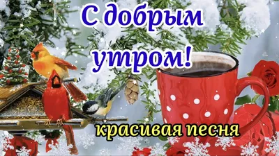 С Добрым Утром 14 Февраля! ☕️❄️Привет Февраль! Красивая Песня! Музыкальная  Открытка Пожелание - YouTube картинки