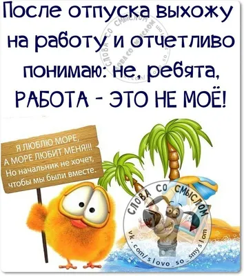 Ржачные картинки про последний день отпуска (49 фото) » Юмор, позитив и  много смешных картинок картинки