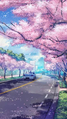 Сакура | Anime scenery wallpaper, Iphone wallpaper japan, Scenery wallpaper картинки