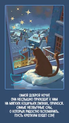 Пин от пользователя Наталия Николаева на доске Спокойной ночи! | Ночь,  Иллюстрации кошек, Иллюстрации картинки