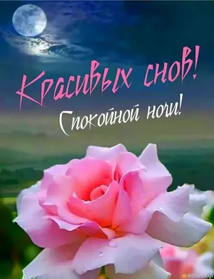 Olgа🌺🌿 on Twitter: \ картинки