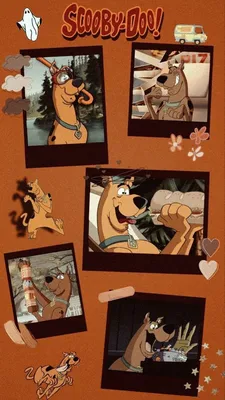 ОБОИ НА ТЕЛЕФОН СКУБИ ДУ | Scooby doo images, Cartoon wallpaper iphone,  Cute cartoon wallpapers картинки