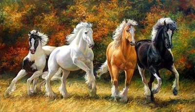 Pin by Pinner on Лошади | Horses, Beautiful horses, Running horses картинки