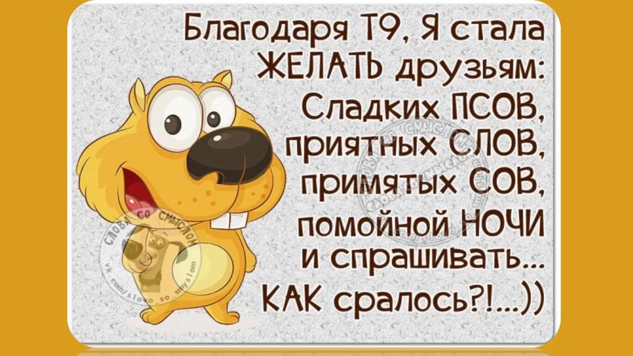Картинки с прикольными фразами картинки с прикольными фразами